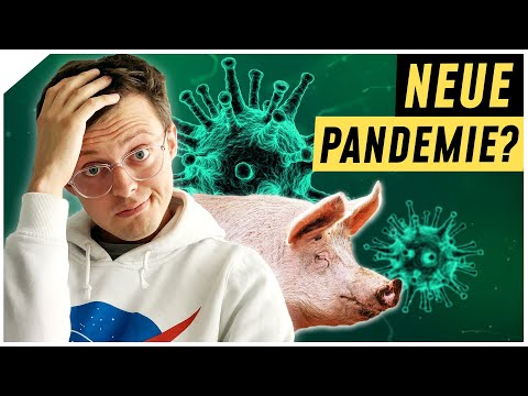 Video: Ist die Schweinegrippe vom Verzehr von Schweinen gekommen?