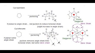 Conformation: Torsional, Angular and Steric Strain: Cyclopentane and Cyclohexane