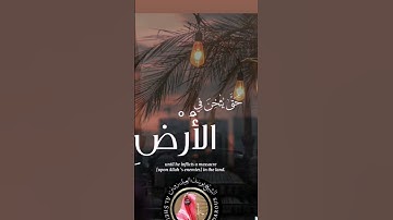 ماتيسر من سورة الأنفال الآية ٦٧ #الشيخ_يوسف_العيدروس