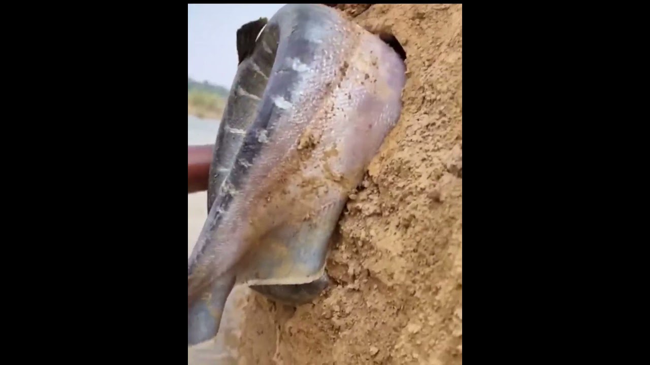 Dream Fishing By Fisherman In River.