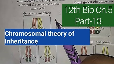 Class 12 biology Ch.5, Part 13||Chromosomal theory of inheritance||Study with Farru