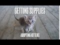 Getting Supplies (And Kittens) In An Abandoned Ghost Town