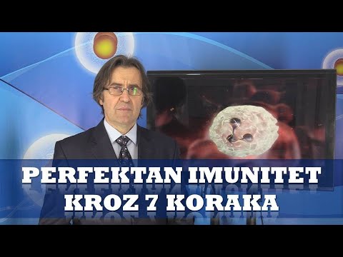 Video: Kaj Je ICQ In čemu Je Namenjen