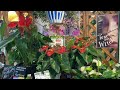 A nursery garden is like a friend you can visit anytime 🪴#gardeninghouseplants #nurserygarden