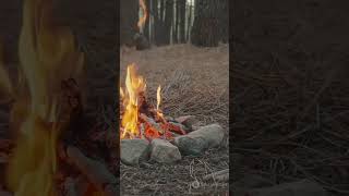 The Devil’s Tramping Ground — North Carolina’s Circle of Nothing | #shorts #ytshorts #viralvideo
