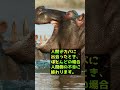 人間が家畜化できなかった動物【カバ】 #shorts