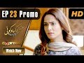 Watch Pakistani Drama | Ishq Na Kariyo Koi - Episode 23 Promo | Express TV Dramas | Rabab Hashim, Noor Online In HD