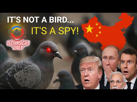 China’s Spy Birds Are Real… And No One Noticed! 🐦😱