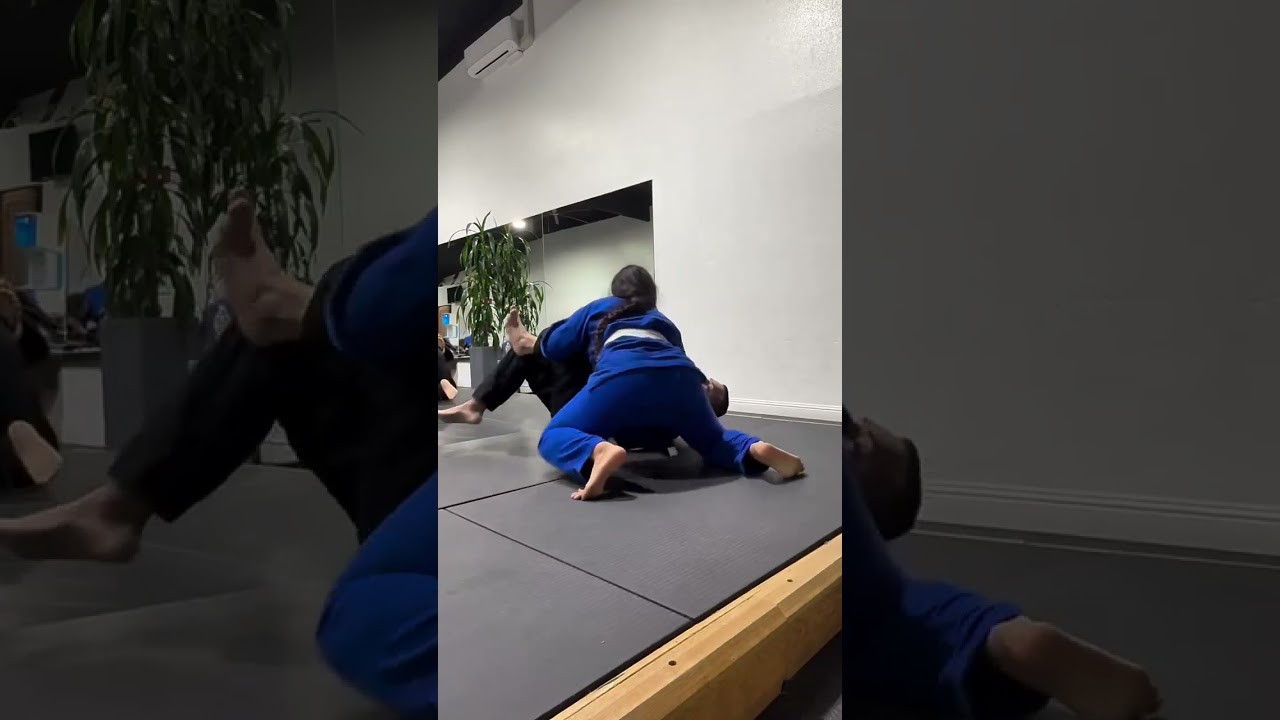 would you do a Jiu Jitsu fight against me? 😈 