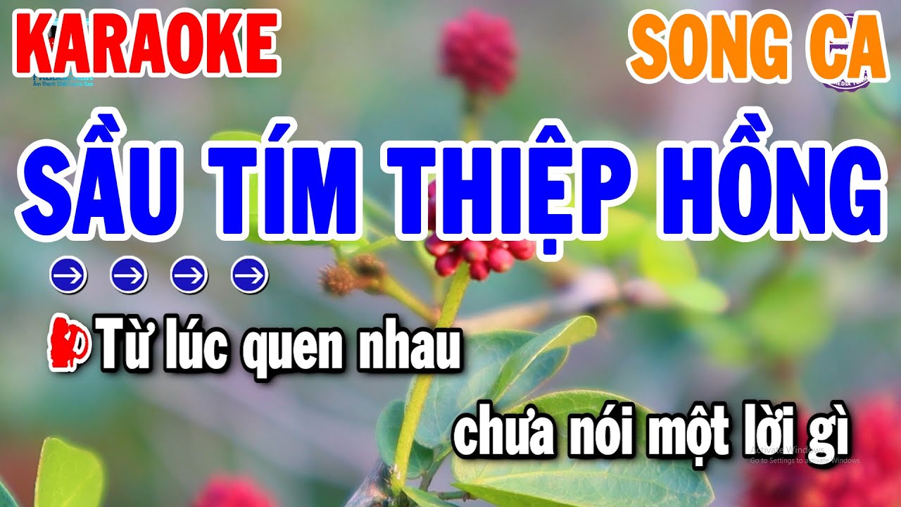 Sầu Tím Thiệp Hồng Karaoke Song Ca ( Cm ) Nhạc Sến Rumba Dễ Hát | Thanh Hải Organ