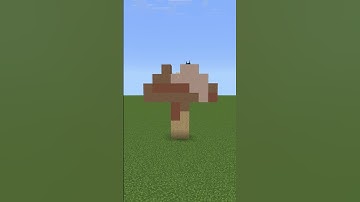 Brown Mushroom