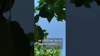 #religion #youtube #коран #истина #напоминание #ислам #хадис #shorts #нашиды