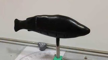 First tests - Lateral line probe calibration in Centre for Biorobotics