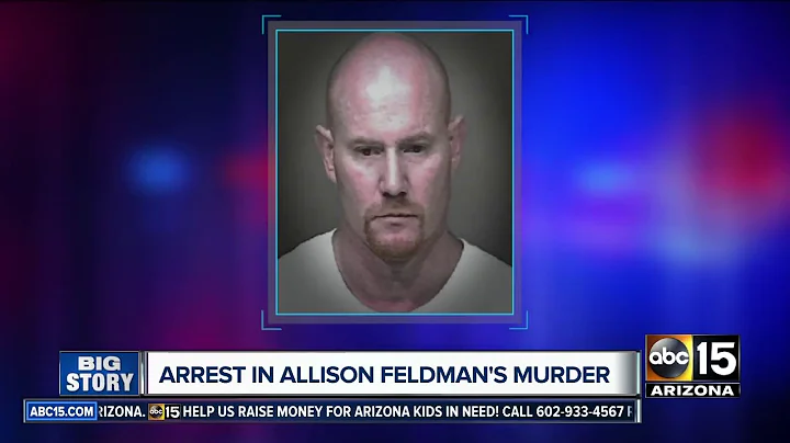 Family speaks out after arrest in Allison Feldman ...