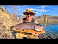 Thick rainbow trout catch  cook fire roasted