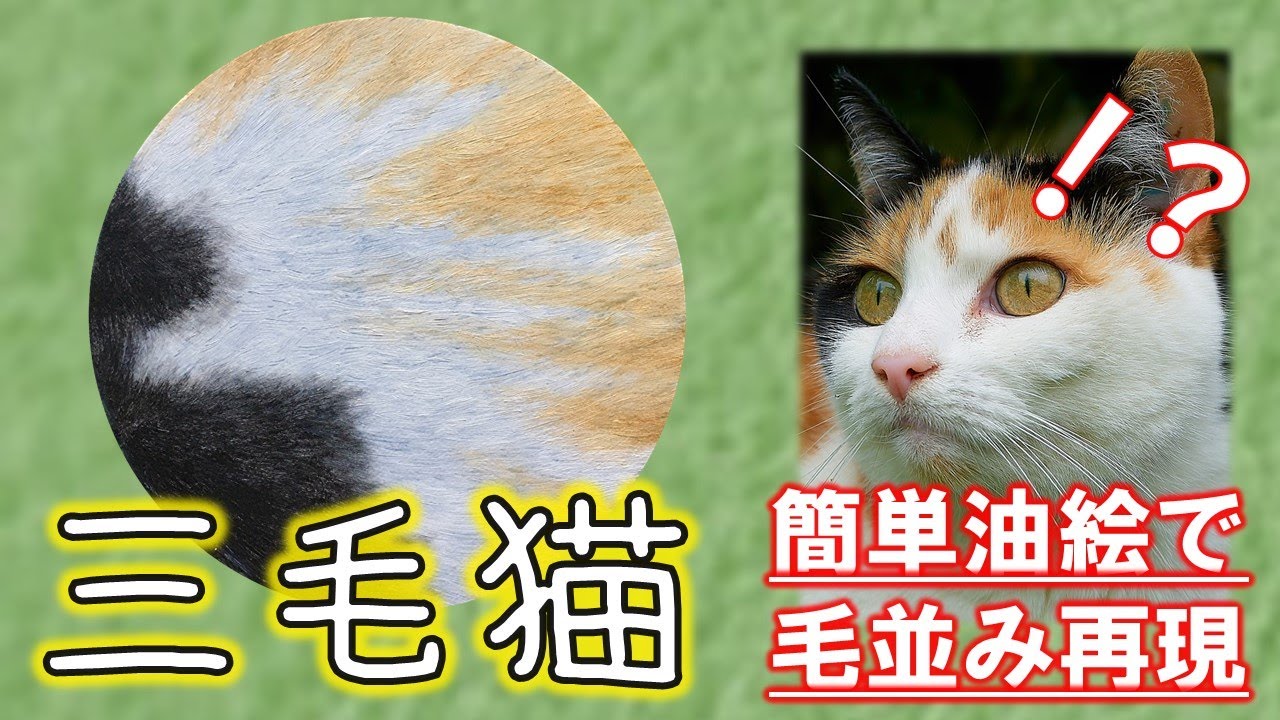 簡単！三毛猫の毛並みを油絵で描く ｜ easy oil painting calico cat