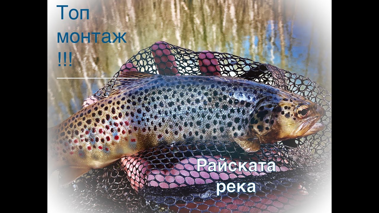 TROUT FISHING.КАПРИЗИТЕ НА РАЙСКИТЕ ПЪСТЪРВИ