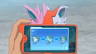 Nidoran, Nidorina, Nidorino, Nidoqueen, And Nidoking Pokédex Entries..wmv