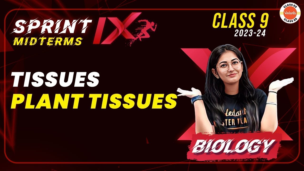 Sprint IX Plant Tissues Important Questions Tissues Class 9 L2
