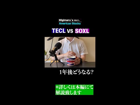 【TECLとSOXL 】暴落時の底に10万円　1年後どうなる？#tecl  #soxl