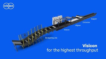 Visicon Singulation Lines for efficient parcel singulation