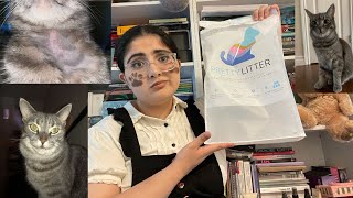 PRETTY LITTER GAVE MY CAT AN ALLERGIC REACTION?! Testing and an Honest Review of Pretty Litter