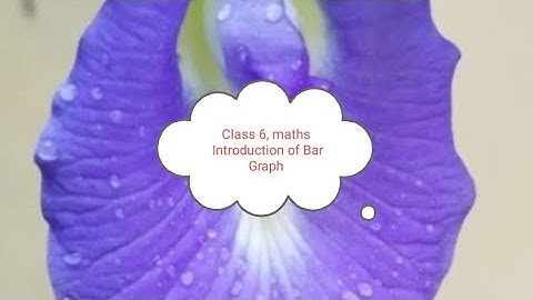 Class 6, maths, Statistics, Introduction of Bar Graph