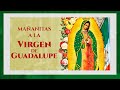 Miriam Solis - Las Mañanitas a La Virgen Mix | Morena Music