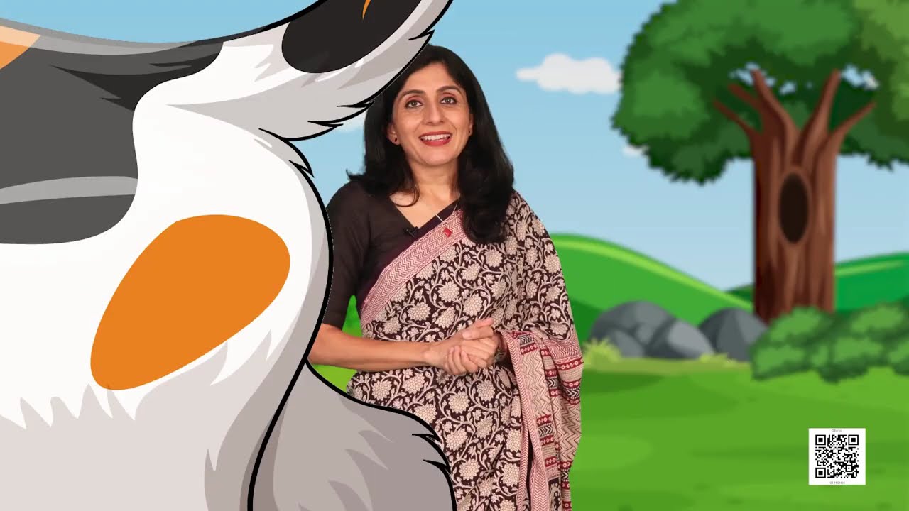 NCERT कक्षा 1 गणित पाठ  मेरी प्यारी बिल्ली ढूँढों भाग  1