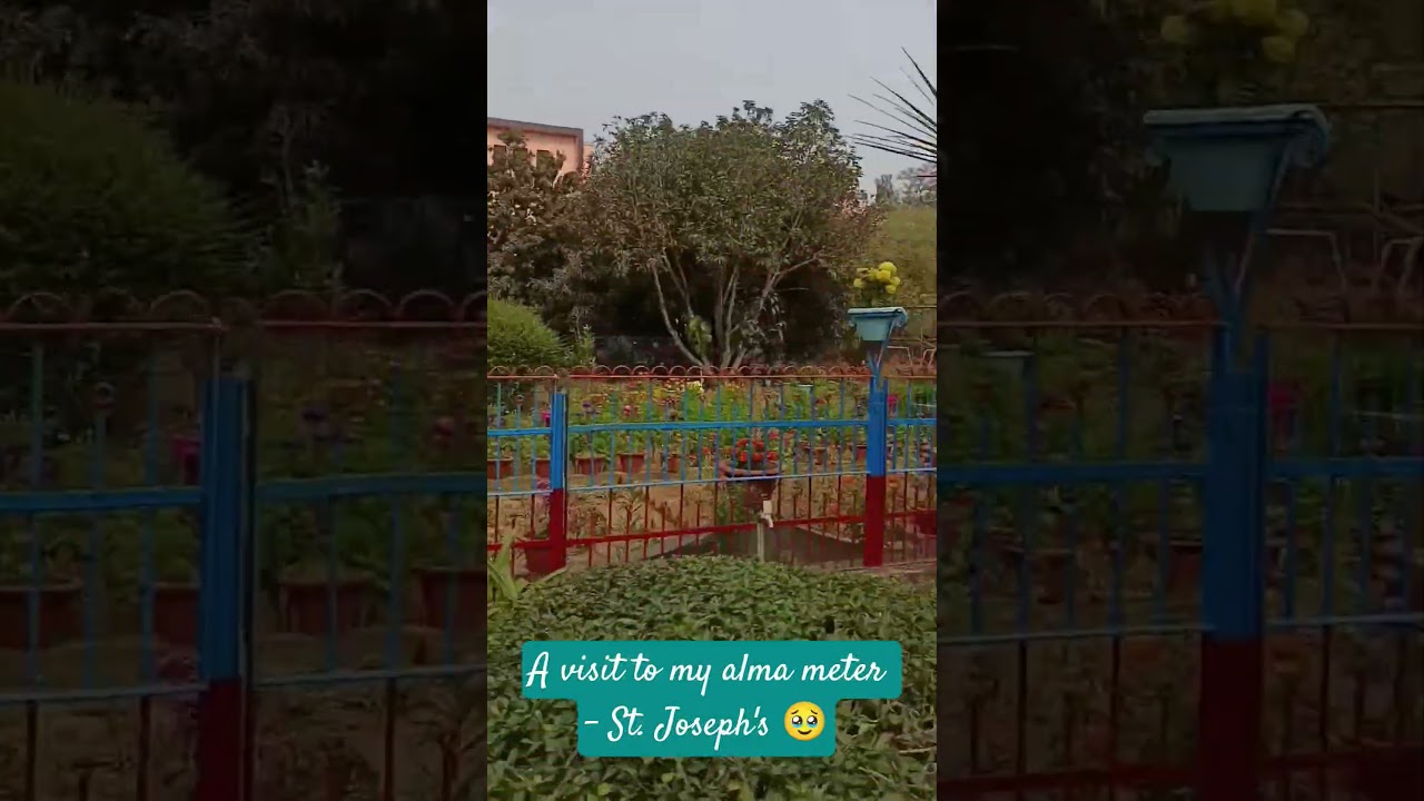 Visited school after so long🥹 - Mini Vlog📸 