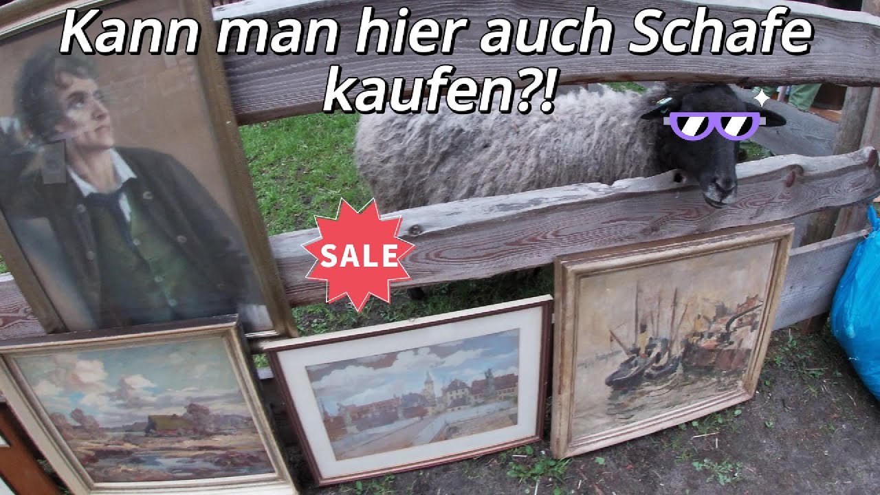 Ich kaufe ein Gemälde, finde echtes GOLD – und treffe Schafe 🐑