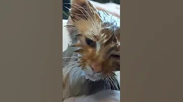 My wet pussy
