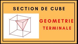 Section de cube-1- géométrie Terminale