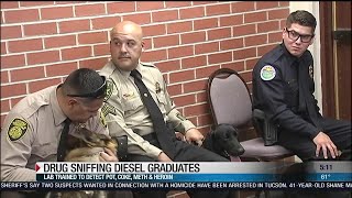 Drug sniffing dog adds new weapon to Pima County Jail