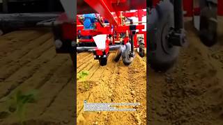 Precision Cultivator Prevents Crop Damage Boosts Yield #farming #agriculture #tractor