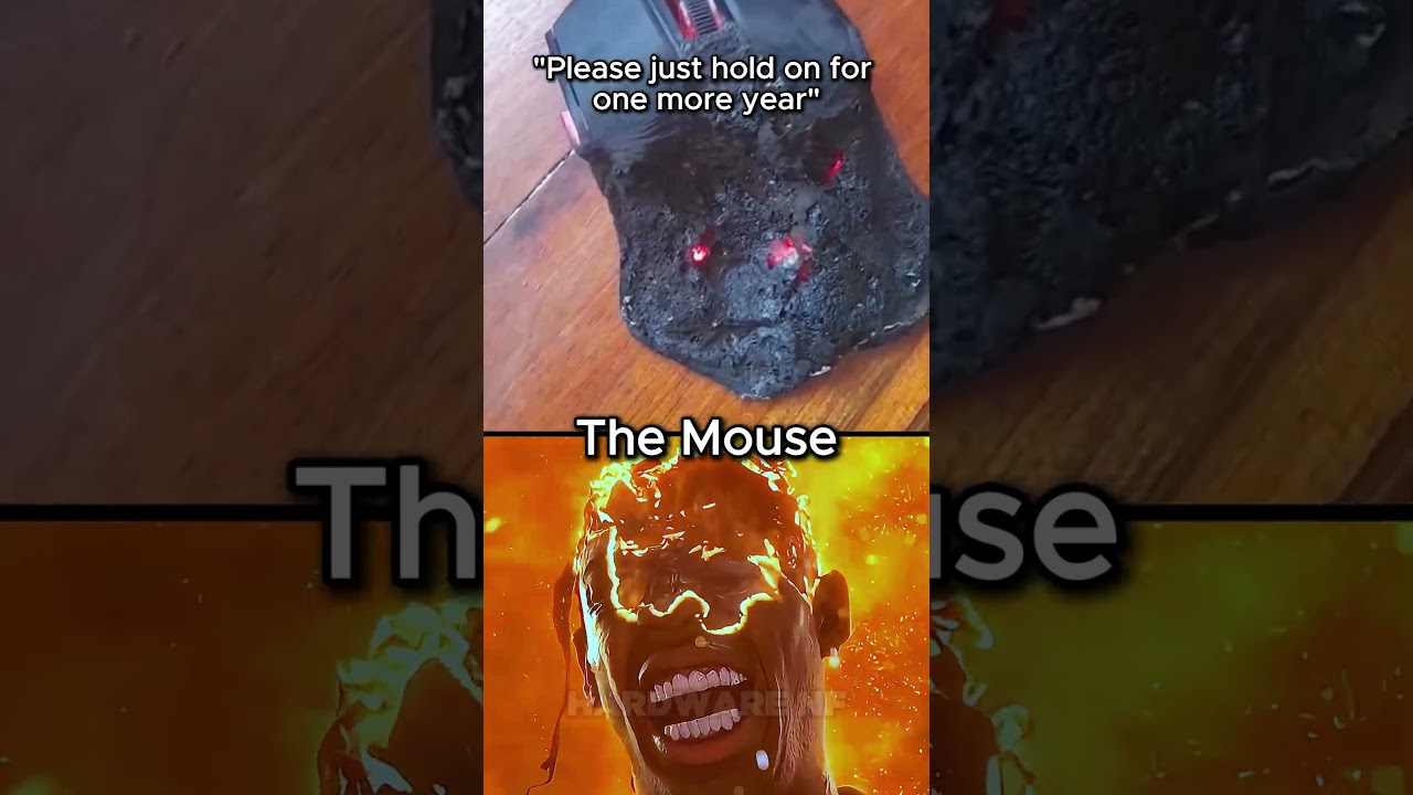 “Please just hold on for one more year💀” 