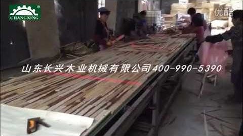 core board composing machine - block board production line  500sheet/8hours