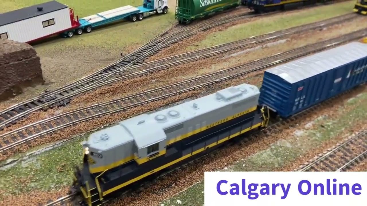All Kinds Of Trains In Alberta, Canada