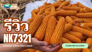 รีวิว NK7321 ข้าวโพดเสี้ยงสัตว์ อายุสั้น 100 วัน