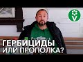 Как БОРОТЬСЯ С СОРНЯКАМИ? Вся правда о ГЕРБИЦИДАХ