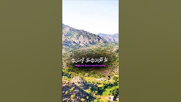 تلاوة خاشعة بصوت جميل ومؤثر يريح القلب #elmulquranعلم #تلاوة #قران_كريم #المصحف #اكسبلور #trend