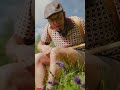 Die neue Blume! Wulfenia? #gailtal #nassfeld #natur #kärnten  #lustigevideos @NassfeldHermagor