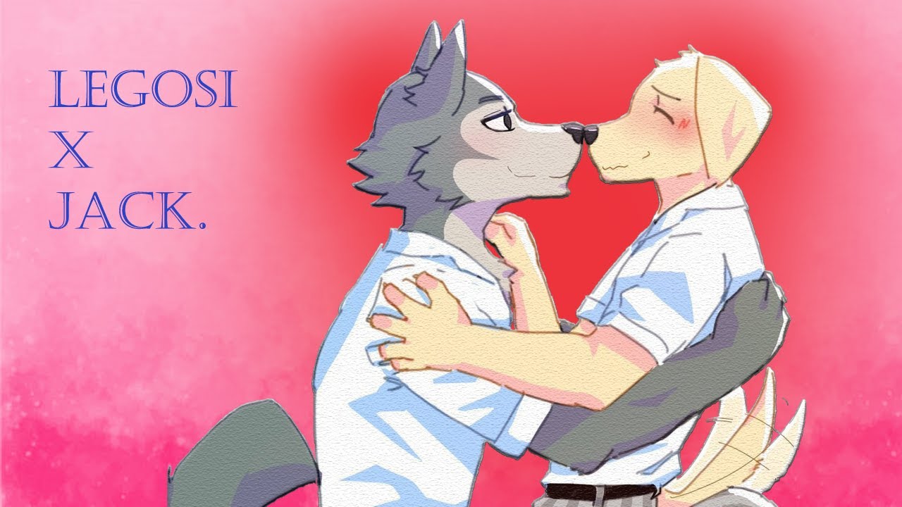 🐺 legosi x jack (Beastars) ❤.