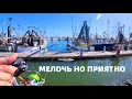 Не пусто, мелочь но приятно. Наступила зима и рыба ушла