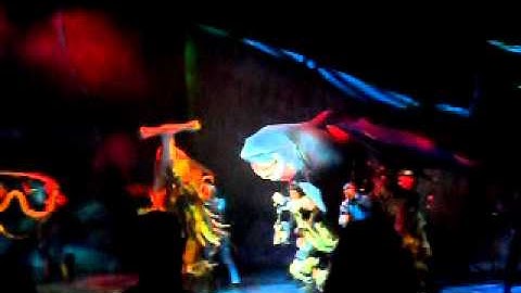 Buscando a nemo en disney ....2010 (parte 1)