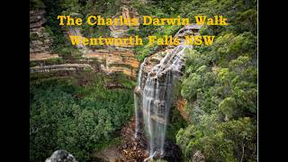 Wentworth Falls Charles Darwin Walk