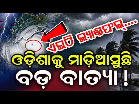 ବାତ୍ୟାକ ନେଇ ବଡ଼ ଖବର | Cyclone News Odisha | Cyclone Update | Odisha Weather | Argus News