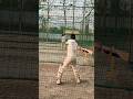 SSM CRICKET ACADEMY MANKAPUR #cricketlover#cricketcoaching #cricket #vairal