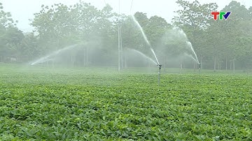 LỢI ÍCH KÉP TỪ ỨNG DỤNG CÔNG NGHỆ TRONG SẢN XUẤT NÔNG NGHIỆP