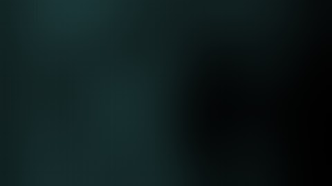 Como BUSCAR HOST FUNCIONALES para cada COMPAÑIA y generar payloads estatus 200/OK